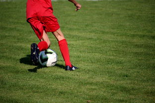 米兰体育正版平台-意甲裁判语义分析系统在比赛判罚中的应用研究，意甲裁判名单